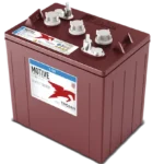 Trojan T-105 6 Volt Battery